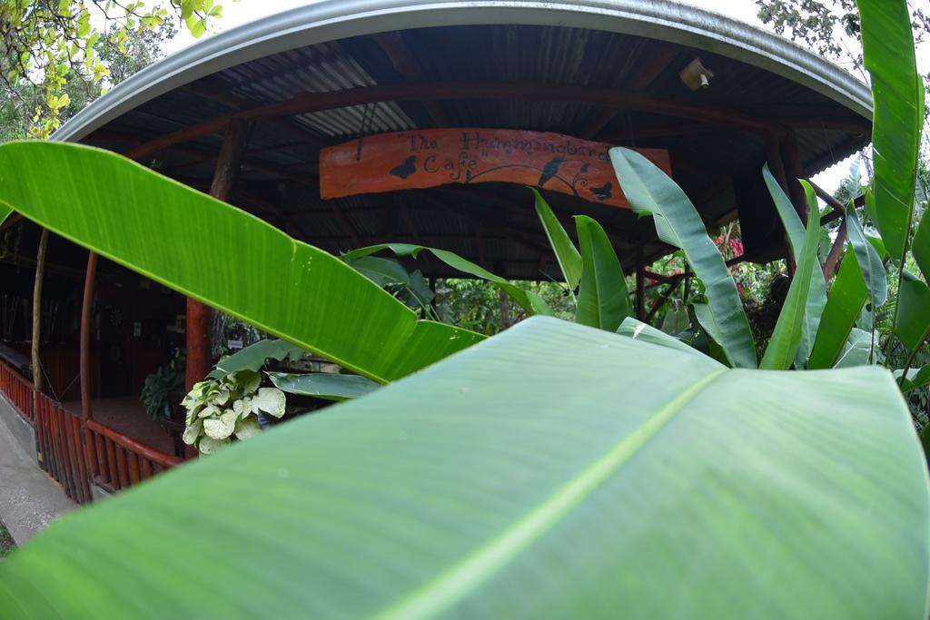 Finca Verde Lodge Бихагуа Екстериор снимка