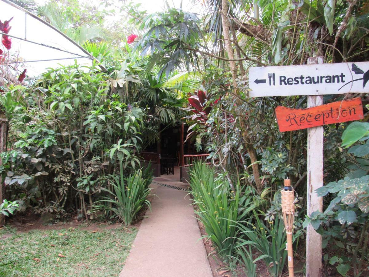 Finca Verde Lodge Бихагуа Екстериор снимка
